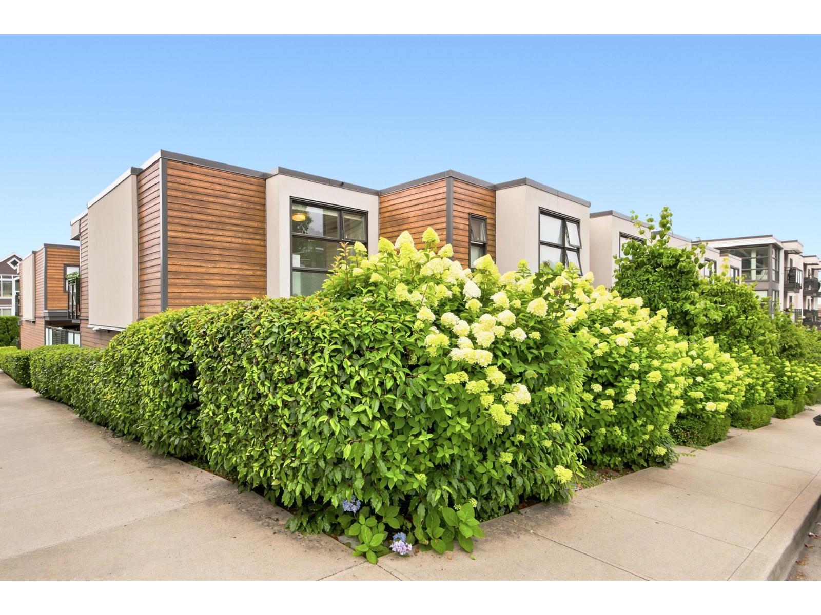 6 14820 Buena Vista Avenue, White Rock, British Columbia  V4B 0B3 - Photo 21 - R3146133