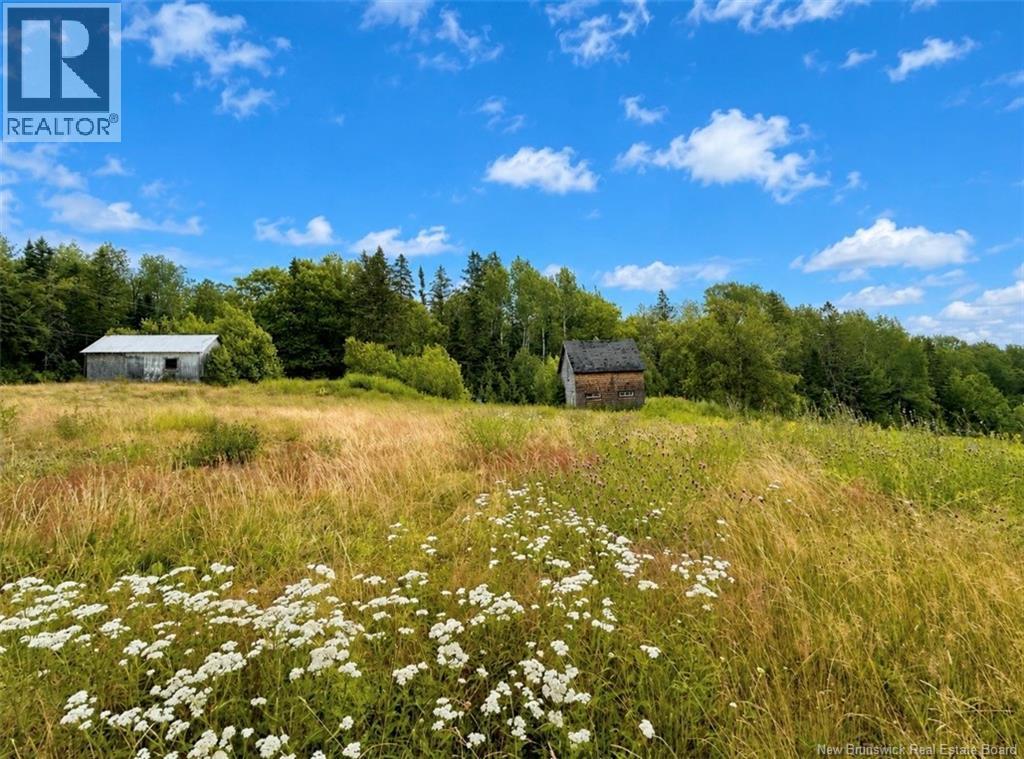 4056 Route 108, Upper Derby, New Brunswick  E9E 2K3 - Photo 5 - NB139202