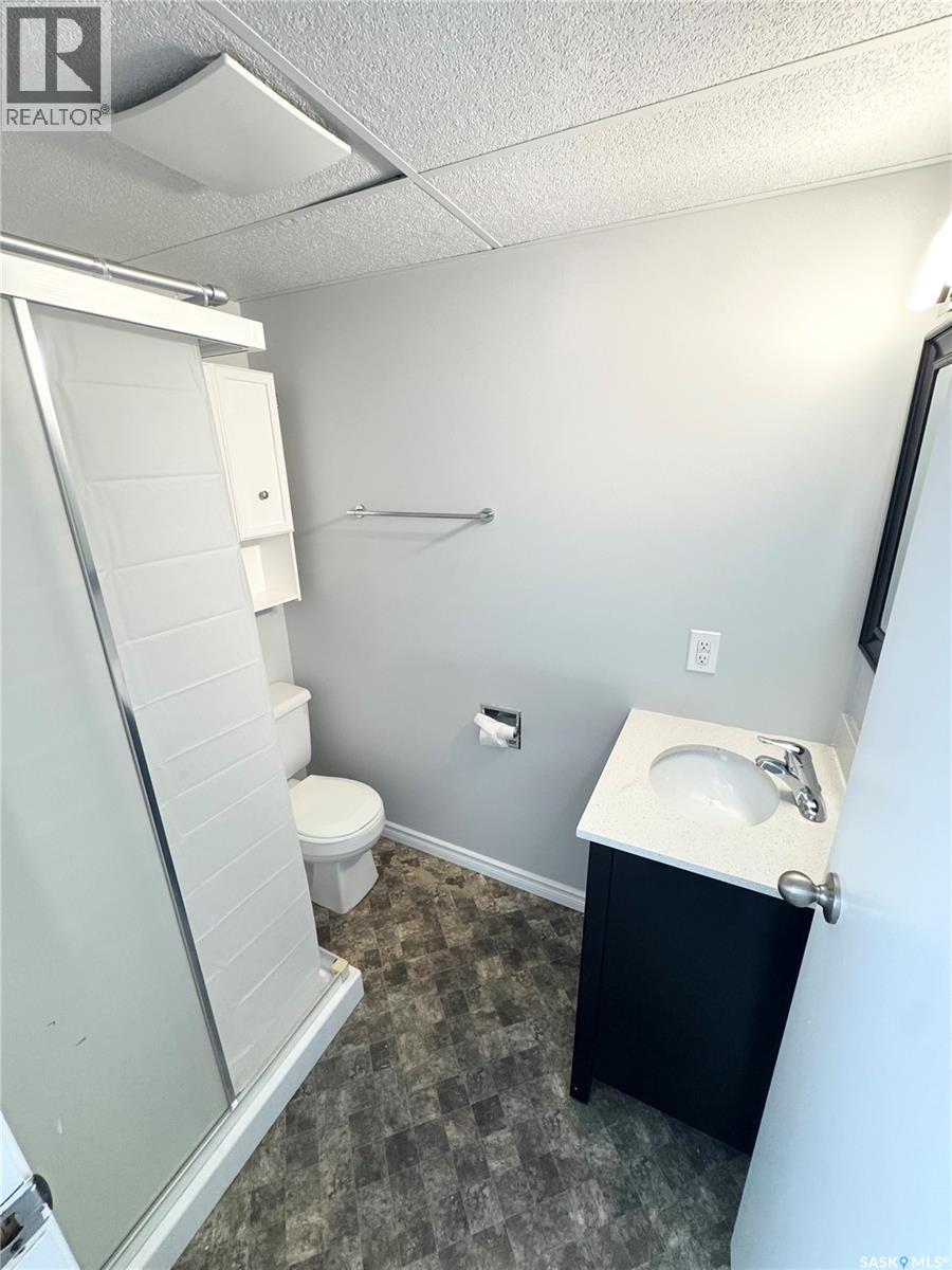 2907 Jenkins Drive E, Regina, Saskatchewan  S4N 6W3 - Photo 21 - SK044522