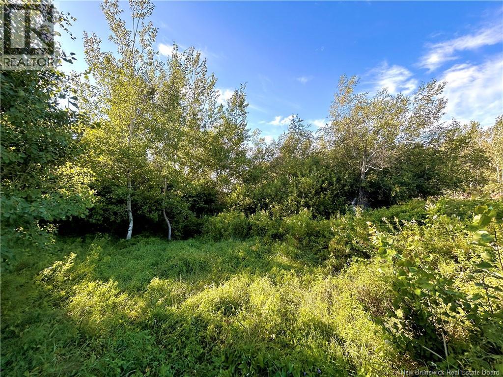 21.5 Acres Rte 117, Escuminac, New Brunswick  E9A 1R3 - Photo 4 - NB145082