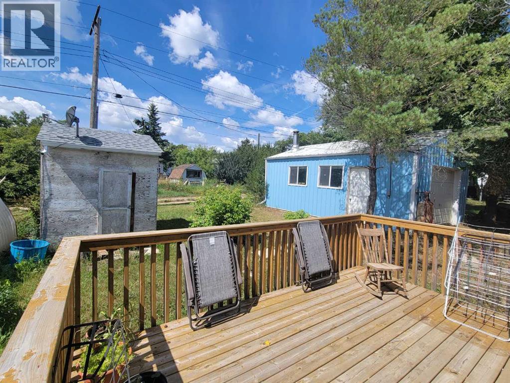 4908 47 Street, Consort, Alberta  T0C 1B0 - Photo 34 - A2334446