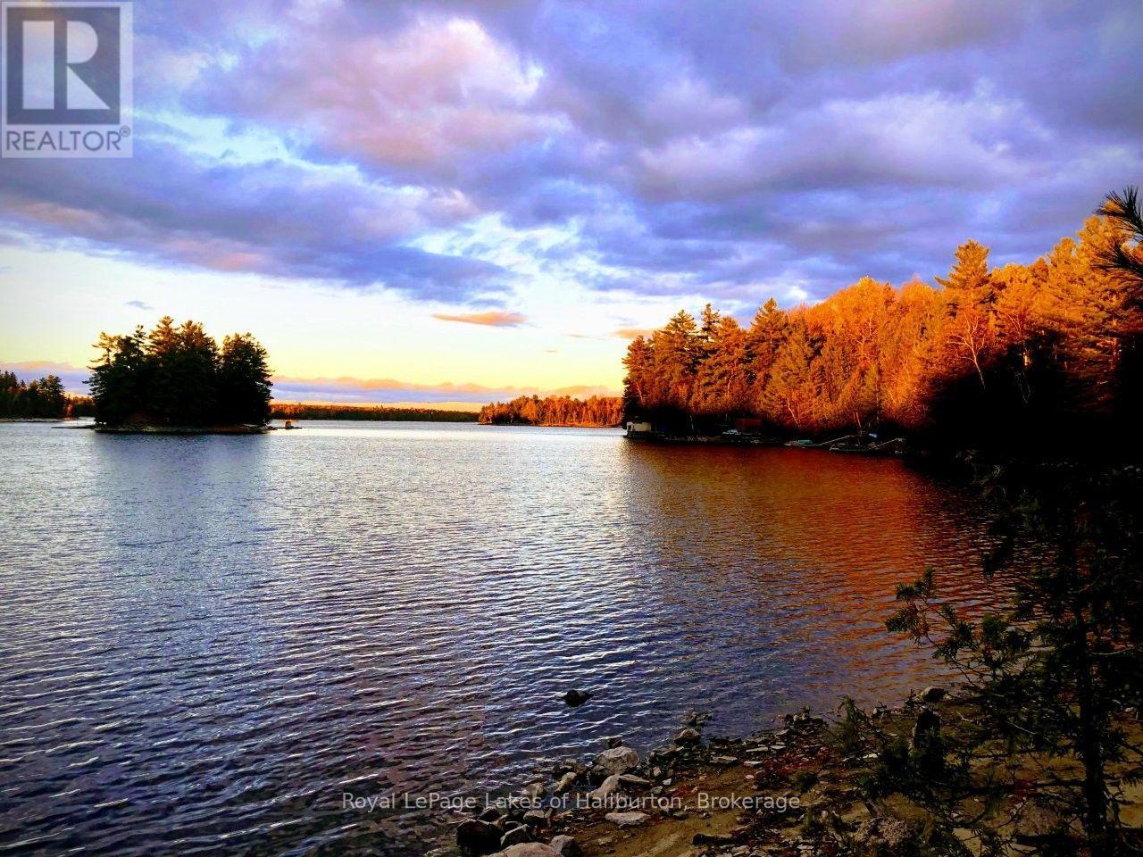1601 Crystal Lake Road, Trent Lakes, Ontario  K0M 2A0 - Photo 25 - X13637186