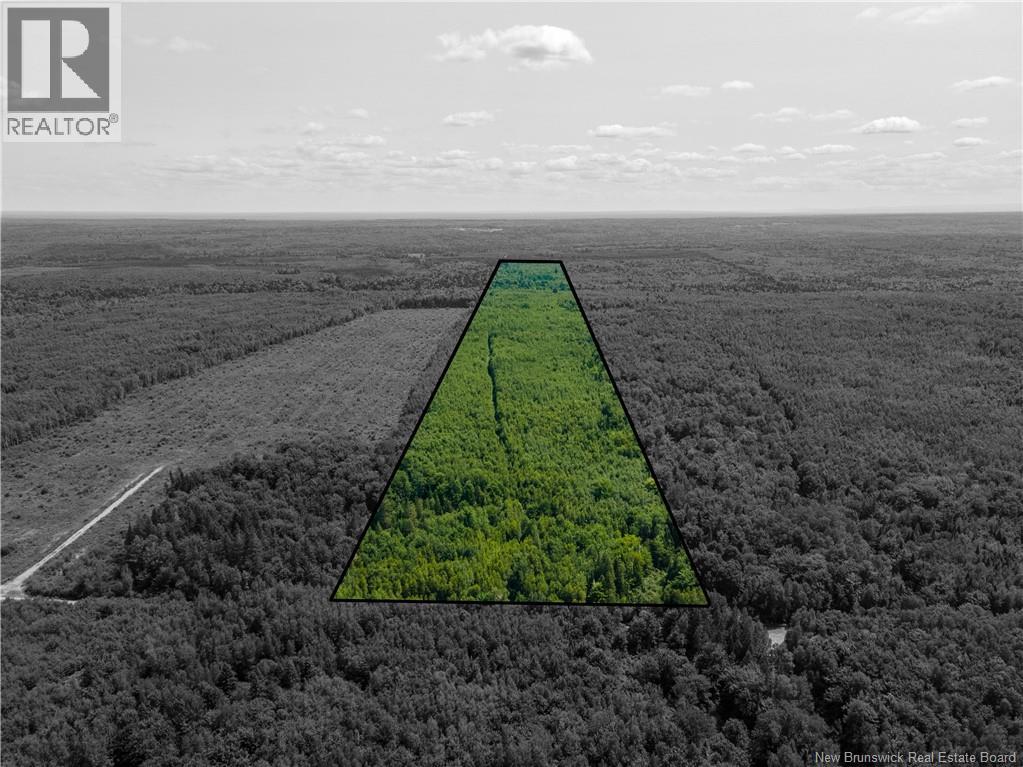 Lot 53 Alexandrina Road, Notre-Dame, New Brunswick