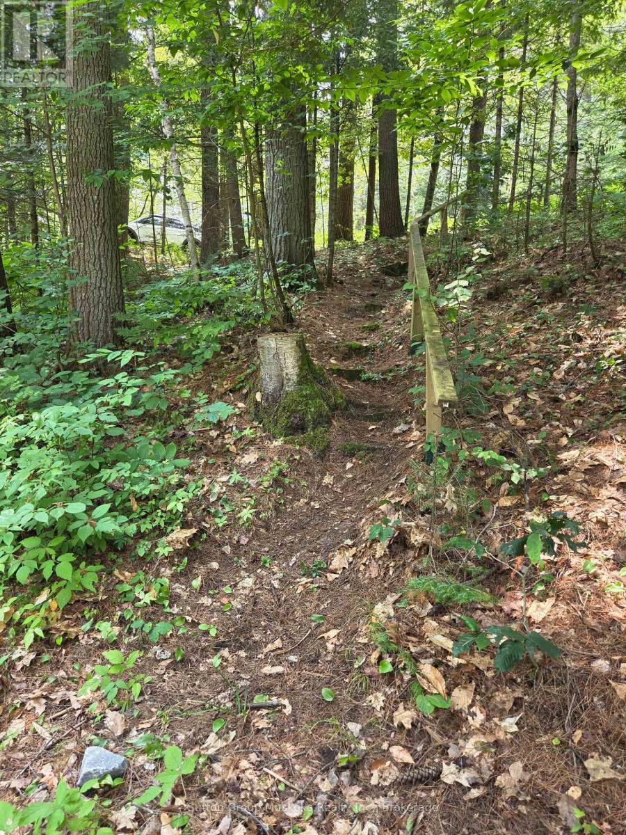 699 South Mary Lake Road, Huntsville, Ontario P0B 1L0 - Photo 36 - X13590942