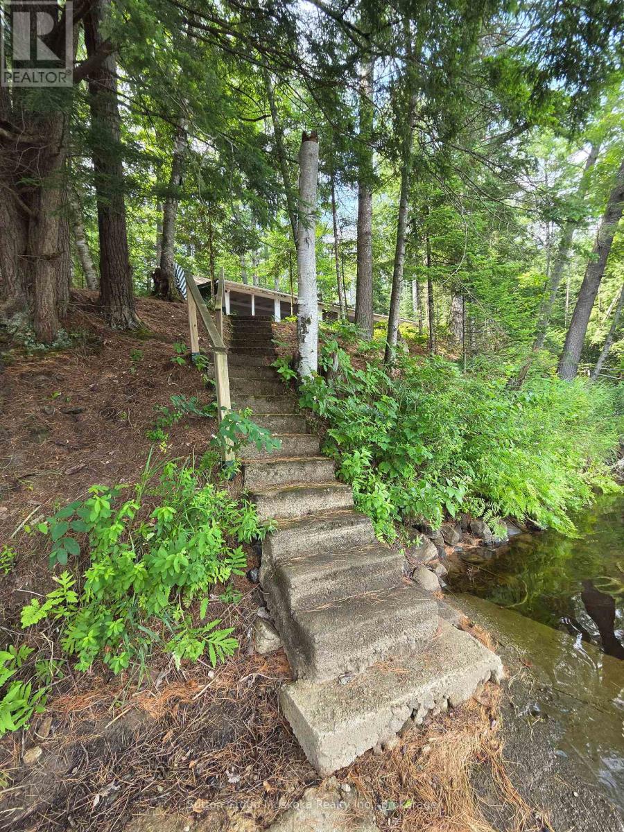 699 South Mary Lake Road, Huntsville, Ontario P0B 1L0 - Photo 6 - X13590942