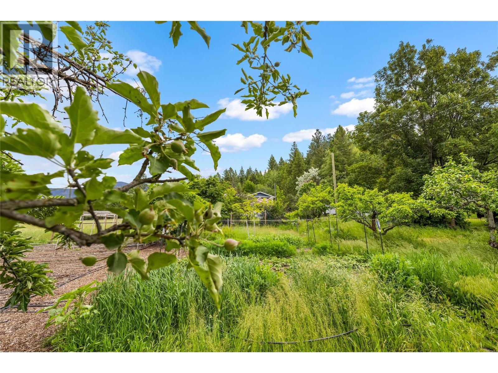 3726 PHILLIPS Road Lister Photo 50 3726 PHILLIPS Road Lister Photo 50