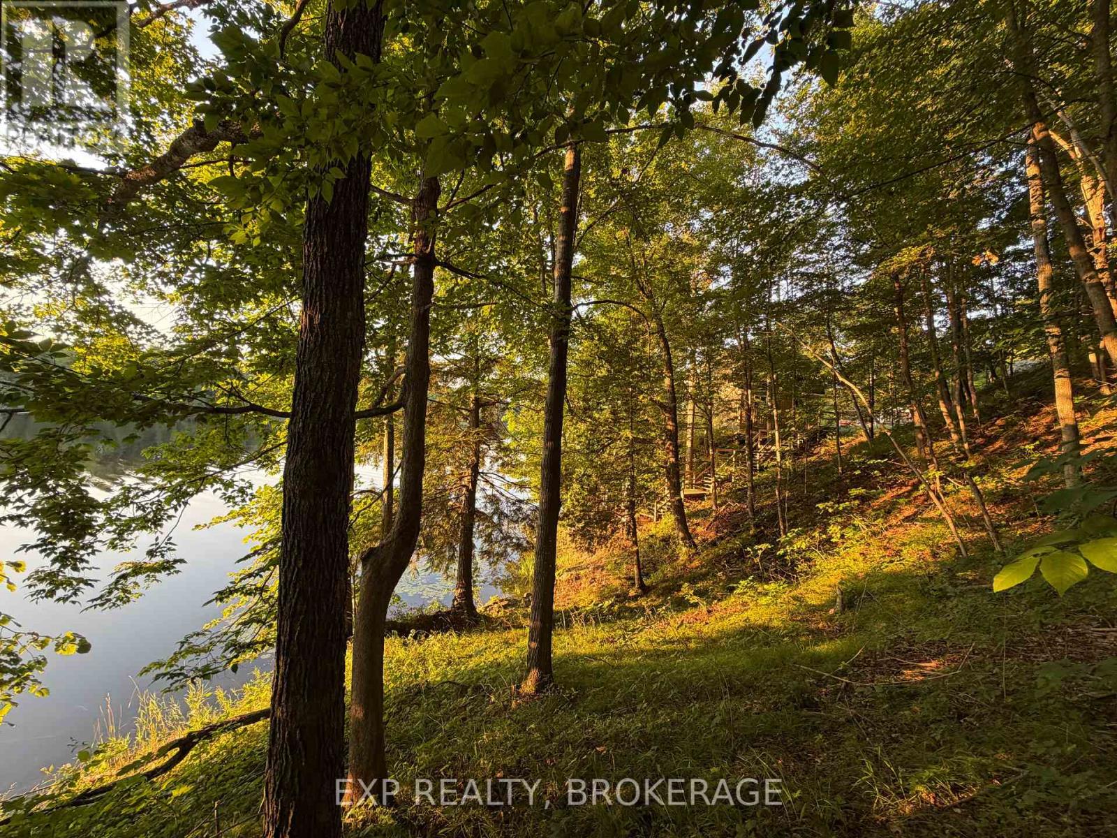 2103 Hambly Lane, South Frontenac, Ontario  K0H 1W0 - Photo 37 - X13637520