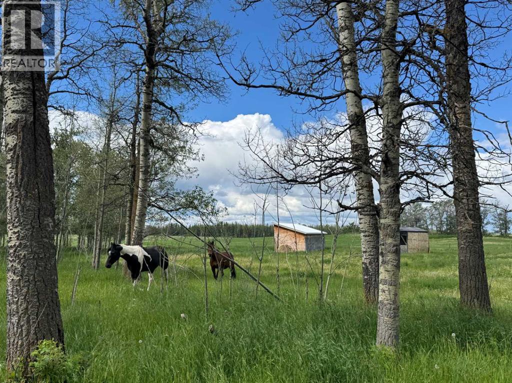 383034 B&c Range Road 42, Rural Clearwater County, Alberta  T0M 0X0 - Photo 23 - A2323216