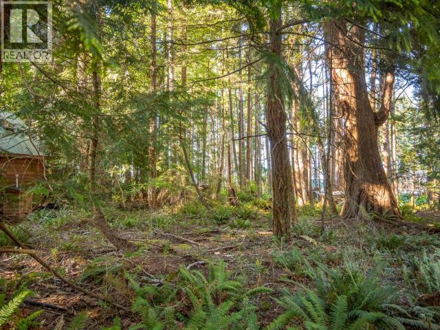 1508 Savary Island Road, Savary Island, British Columbia   - Photo 14 - 20106