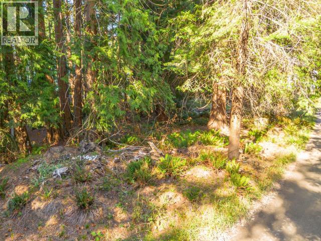 1508 Savary Island Road, Savary Island, British Columbia   - Photo 12 - 20106