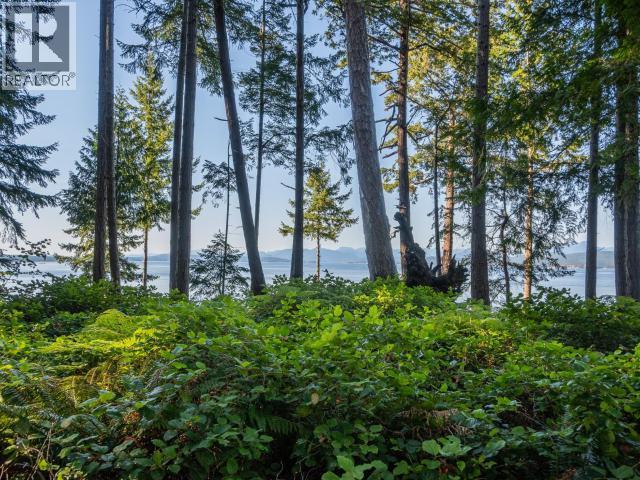 1508 Savary Island Road, Savary Island, British Columbia   - Photo 8 - 20106