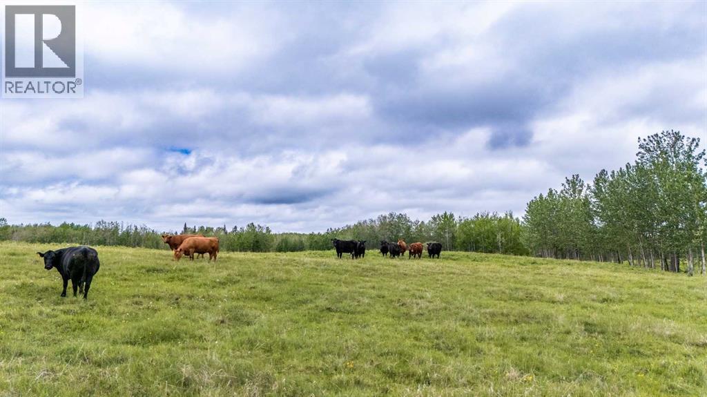 49118 Hwy 759, Rural Brazeau County, Alberta  T7Z 1S9 - Photo 43 - A2321228