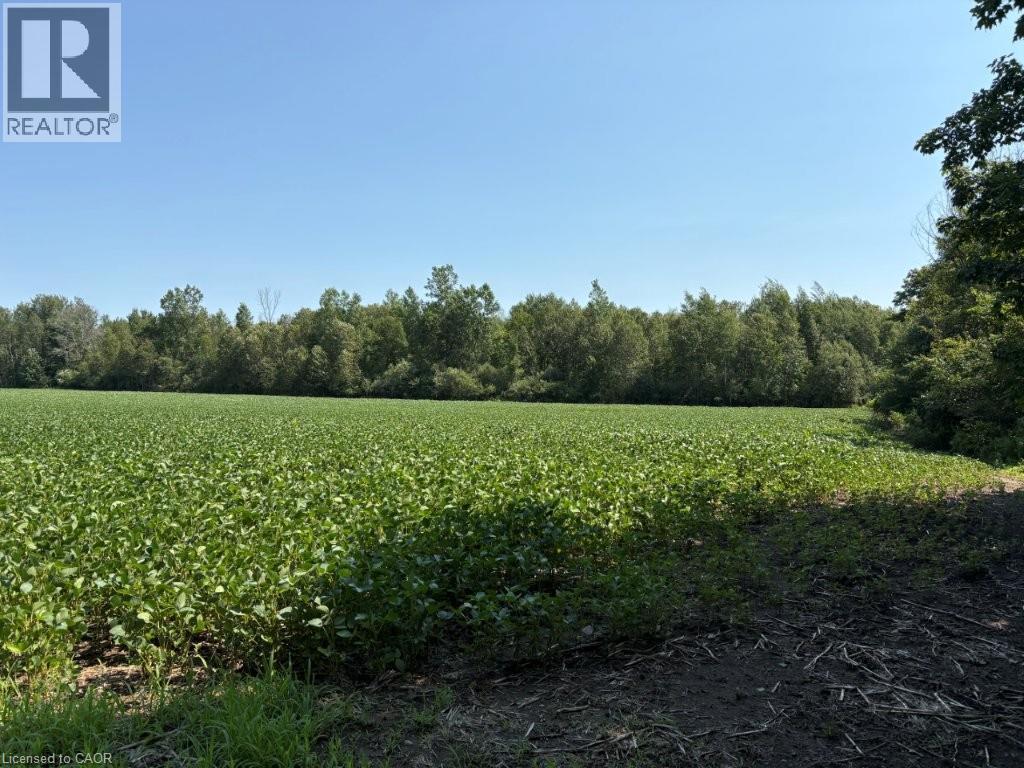 1194 CONCESSION 14 W, Teeswater, Ontario