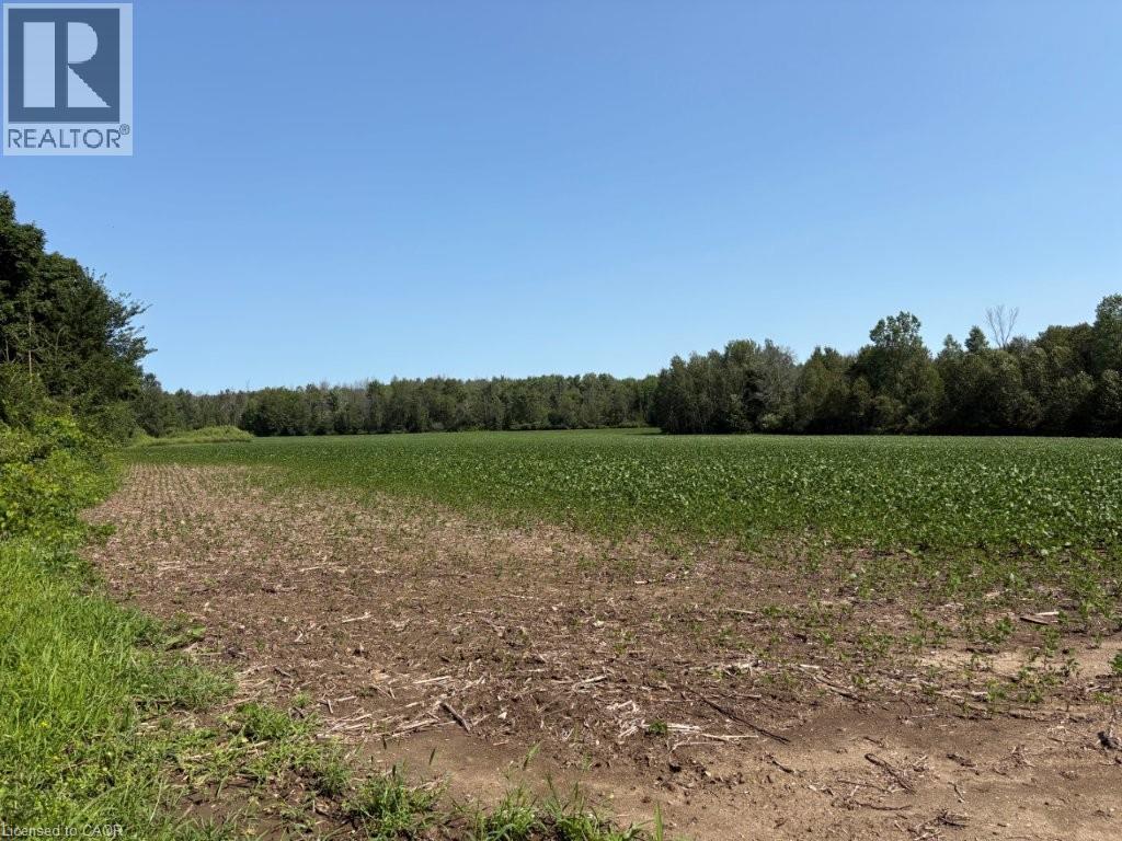 1194 Concession 14 W, Teeswater, Ontario  N0G 2S0 - Photo 4 - 40852954