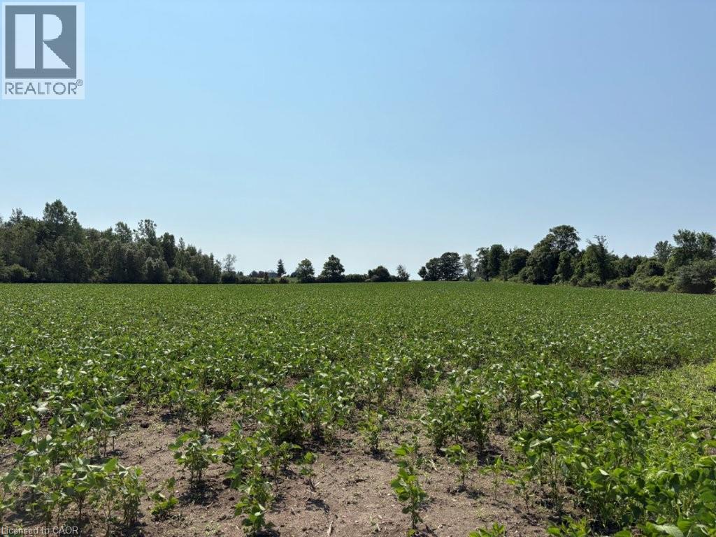 1194 Concession 14 W, Teeswater, Ontario  N0G 2S0 - Photo 7 - 40852954