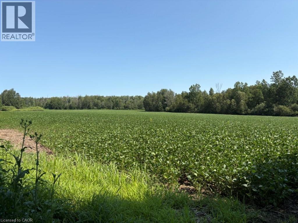 1194 Concession 14 W, Teeswater, Ontario  N0G 2S0 - Photo 2 - 40852954