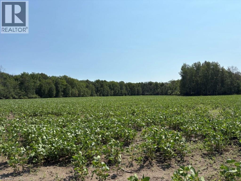 1194 Concession 14 W, Teeswater, Ontario  N0G 2S0 - Photo 6 - 40852954