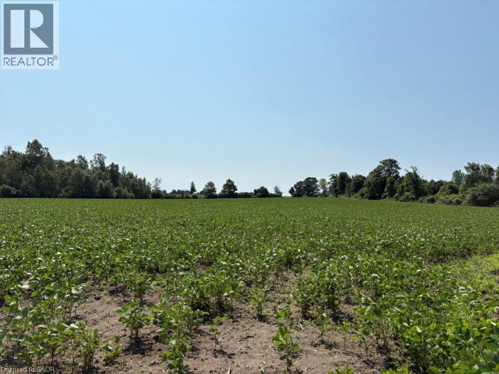 1194 Concession 14 W, Teeswater, Ontario  N0G 2S0 - Photo 8 - 40852954