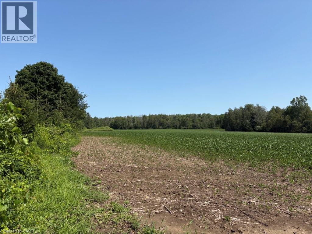 1194 Concession 14 W, Teeswater, Ontario  N0G 2S0 - Photo 3 - 40852954