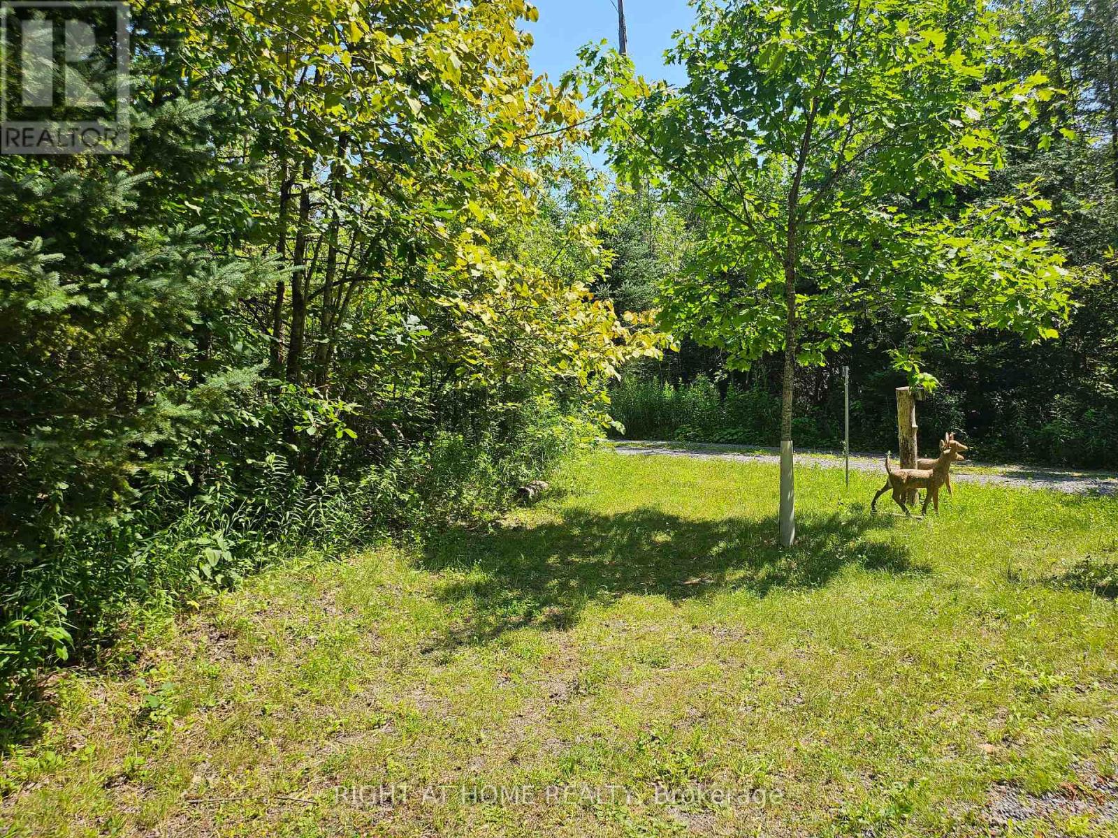 0 Shanval Lane, Marmora And Lake, Ontario K0K 2M0 - Photo 6 - X13631152