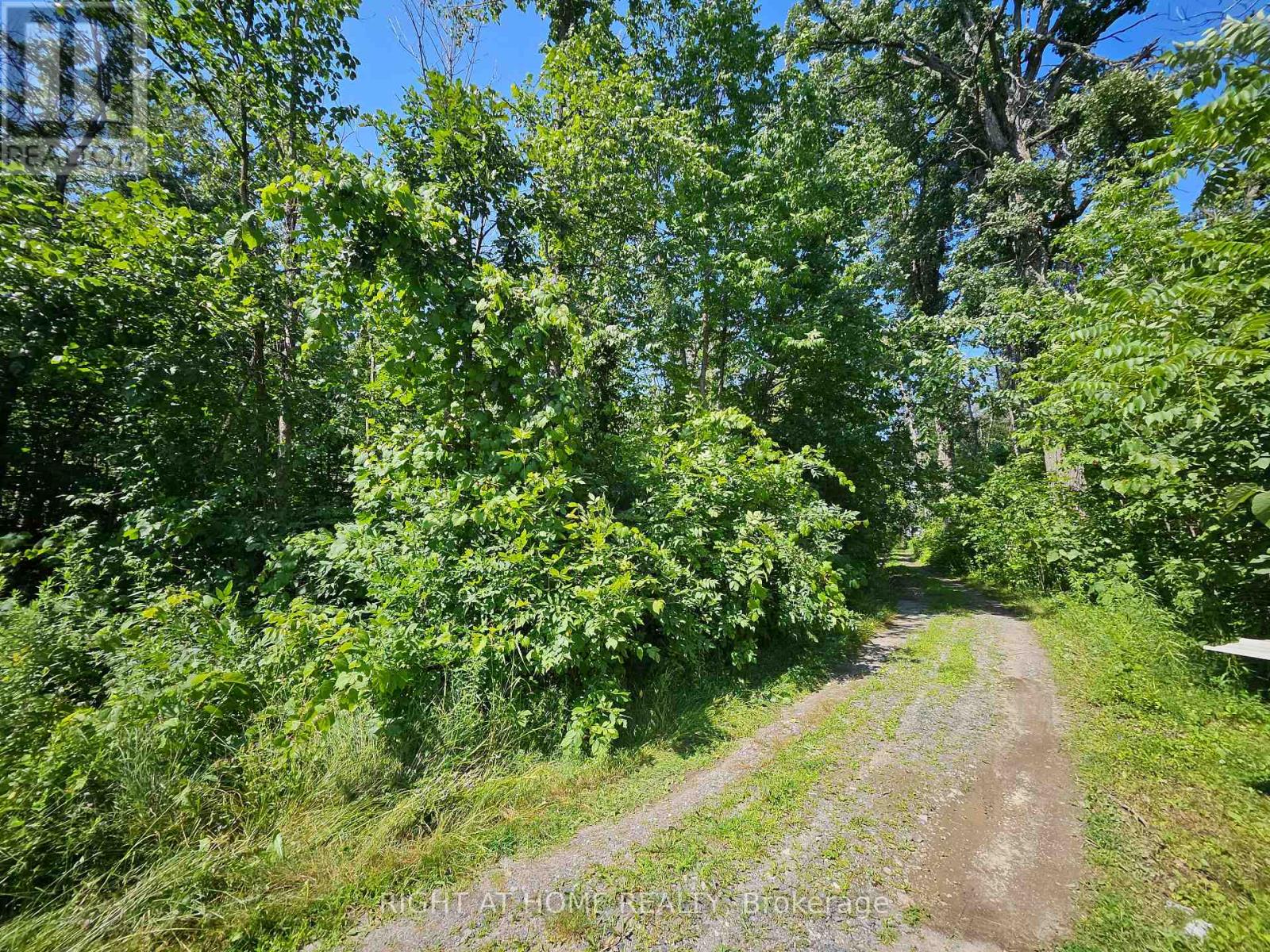 0 Shanval Lane, Marmora And Lake, Ontario K0K 2M0 - Photo 2 - X13631152
