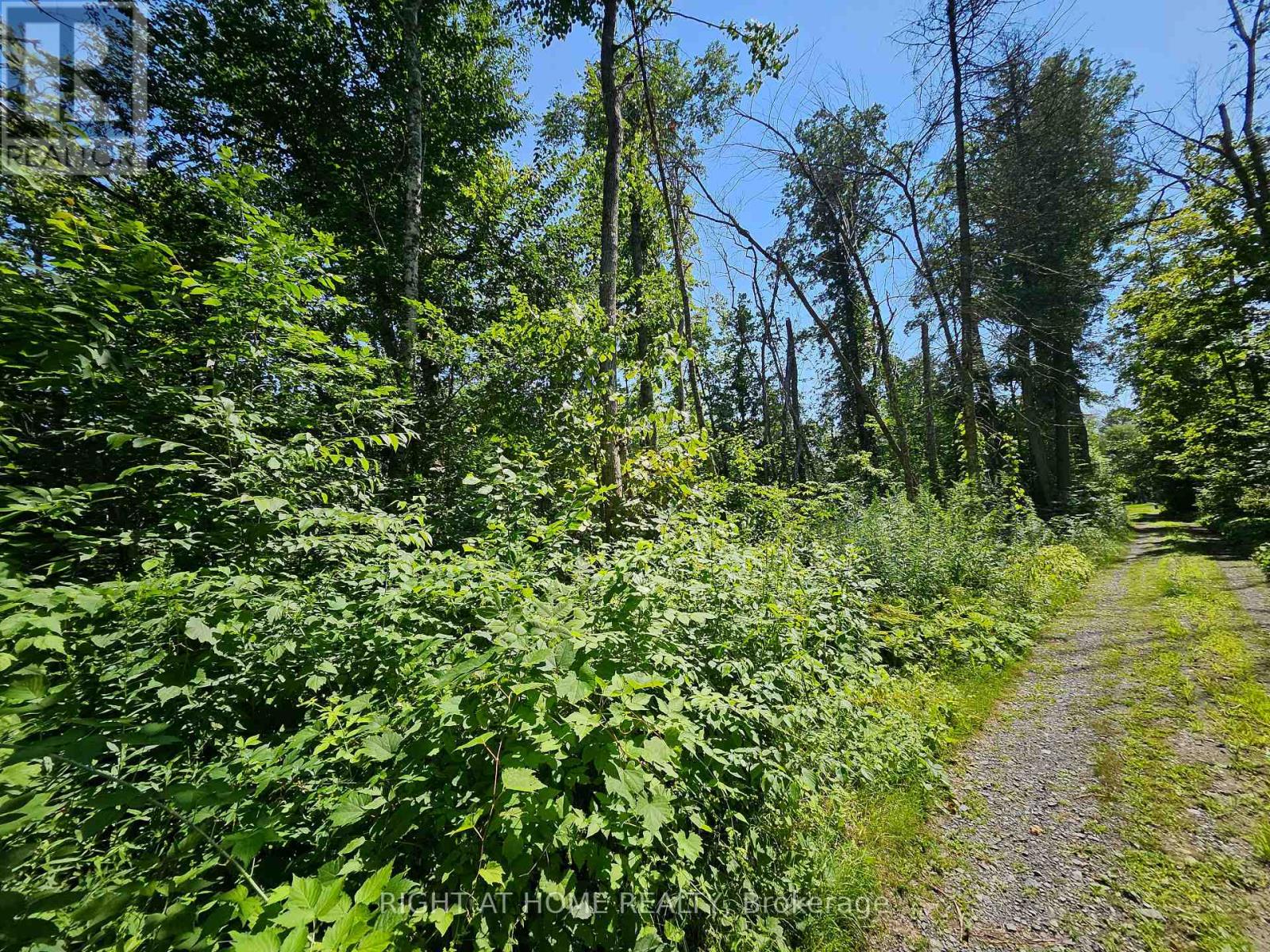 0 Shanval Lane, Marmora And Lake, Ontario K0K 2M0 - Photo 3 - X13631152