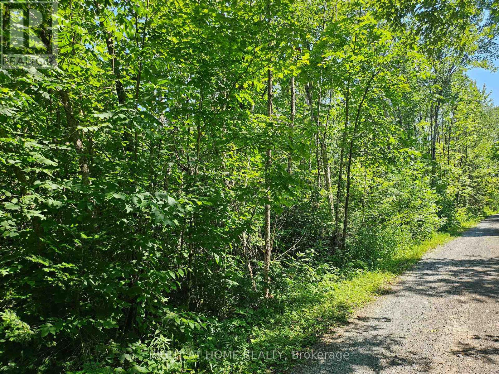 0 Shanval Lane, Marmora And Lake, Ontario K0K 2M0 - Photo 7 - X13631152