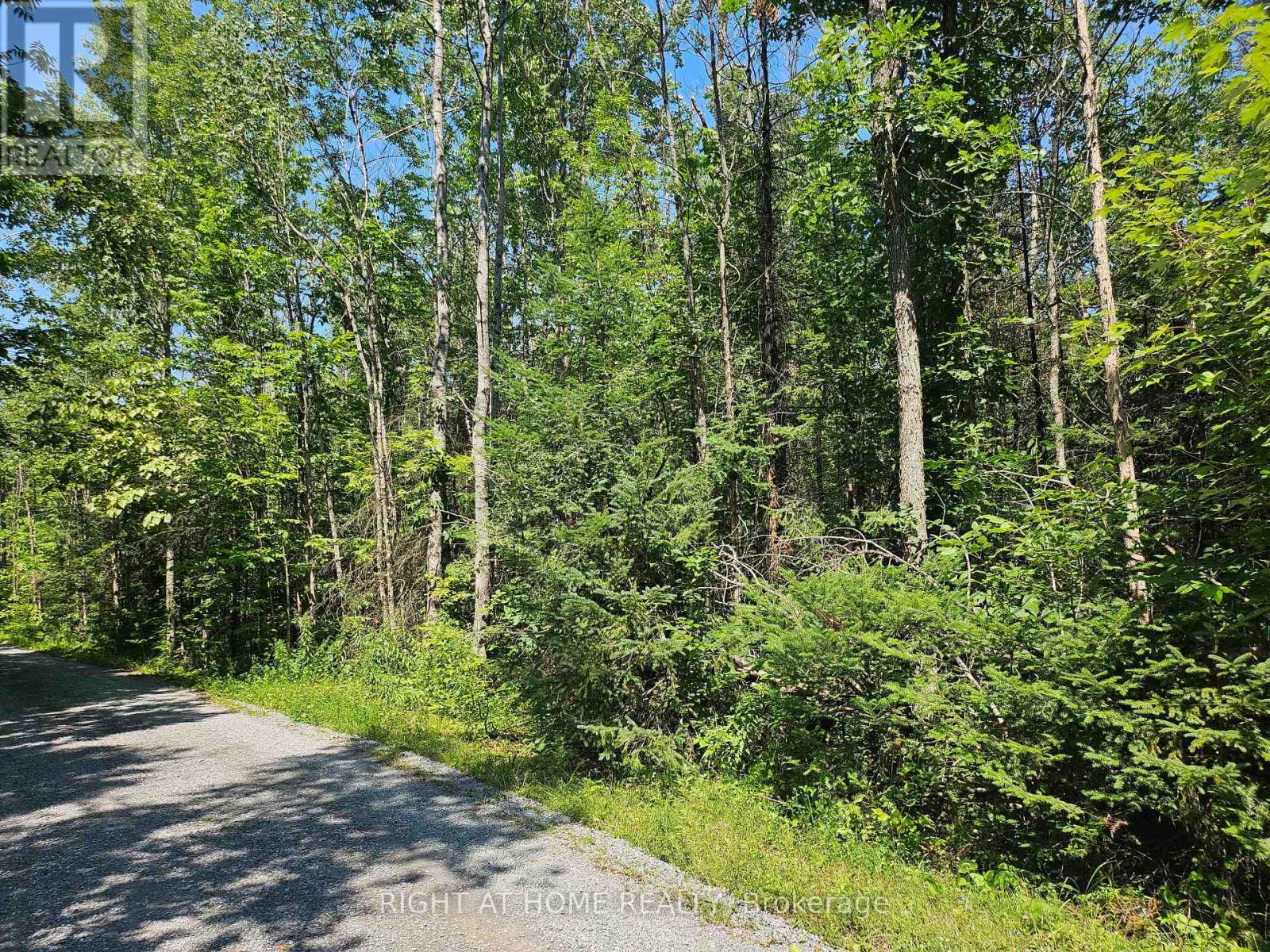 0 Shanval Lane, Marmora And Lake, Ontario K0K 2M0 - Photo 8 - X13631152
