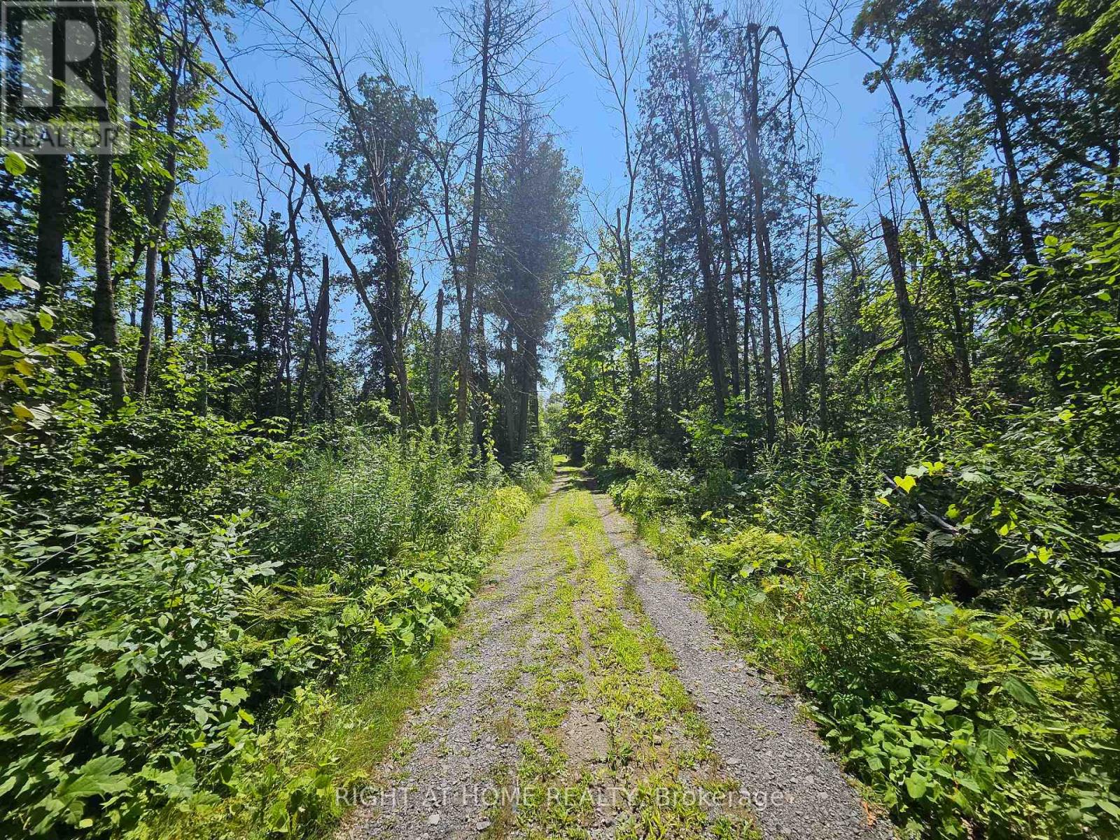 0 Shanval Lane, Marmora And Lake, Ontario K0K 2M0 - Photo 4 - X13631152