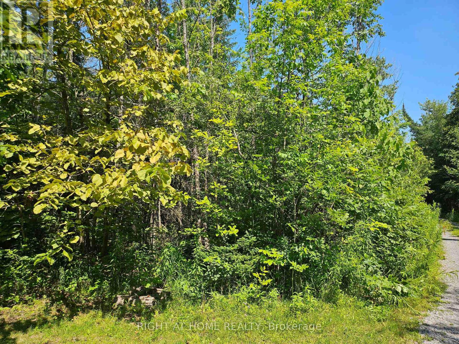 0 Shanval Lane, Marmora And Lake, Ontario K0K 2M0 - Photo 5 - X13631152