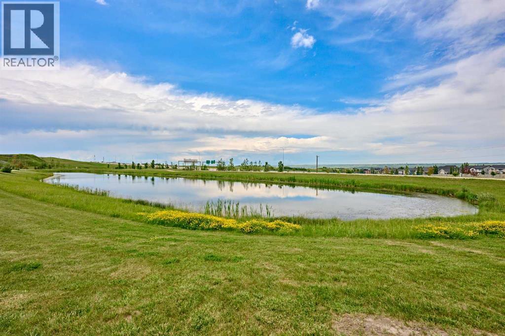 picture 48