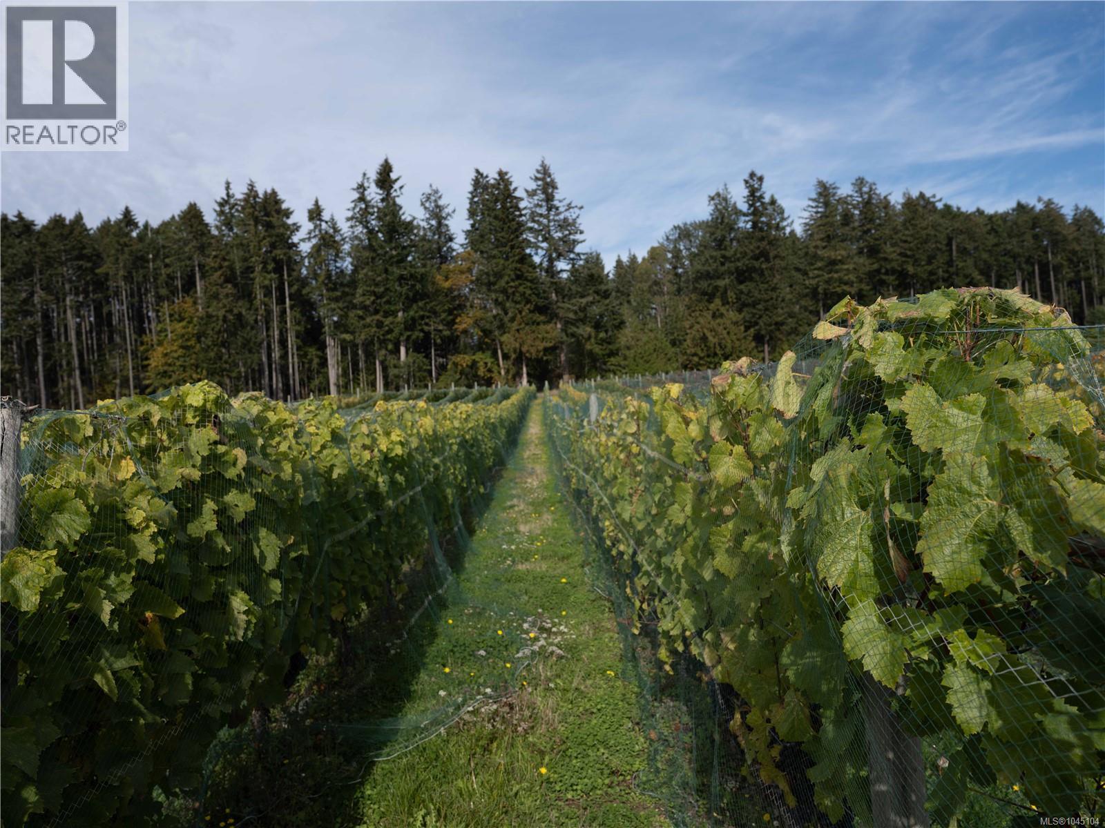 840 Cherry Point Rd, Cobble Hill, British Columbia  V0R 1L3 - Photo 21 - 1045104