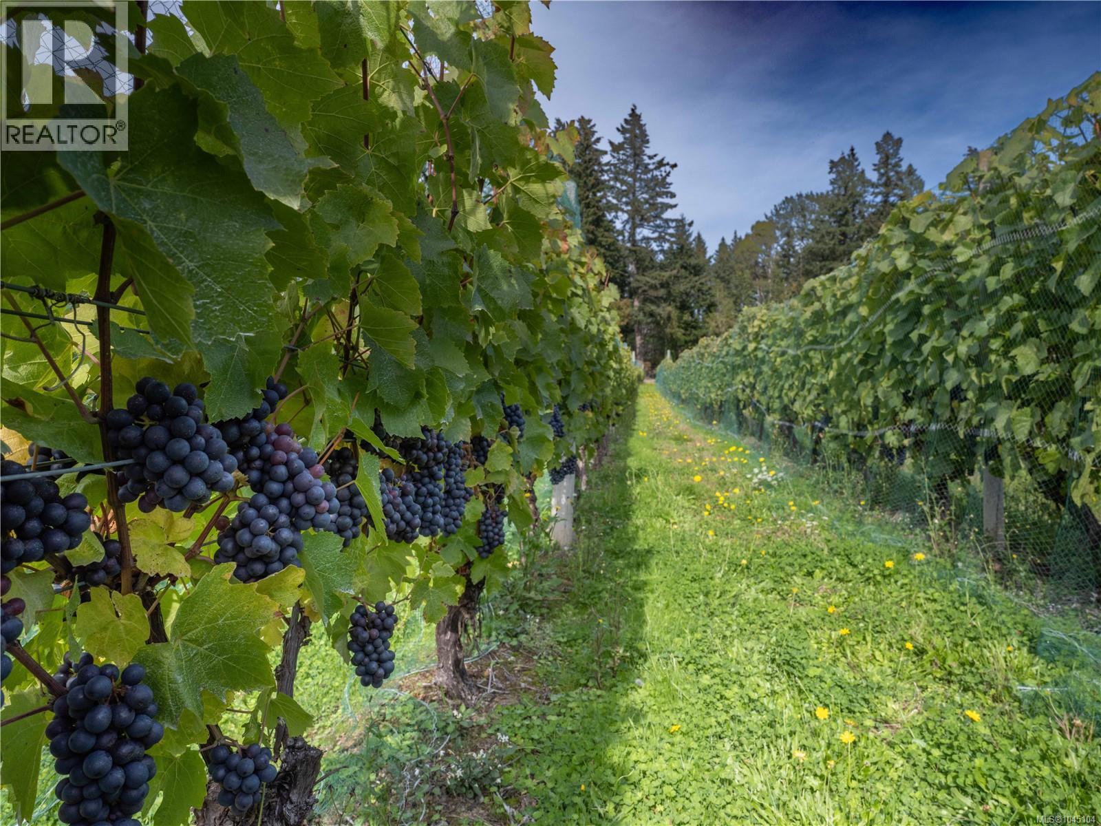 840 Cherry Point Rd, Cobble Hill, British Columbia  V0R 1L3 - Photo 25 - 1045104