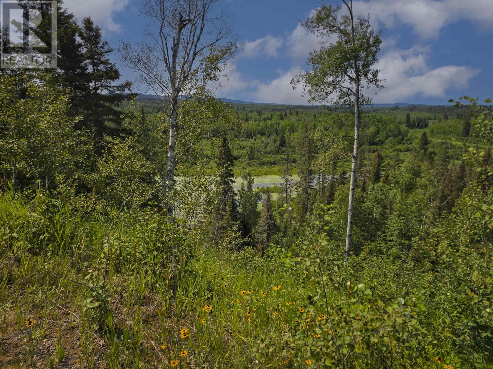 2422 Broadway Ave, Thunder Bay, Ontario  P7K 1K7 - Photo 48 - TB2602236
