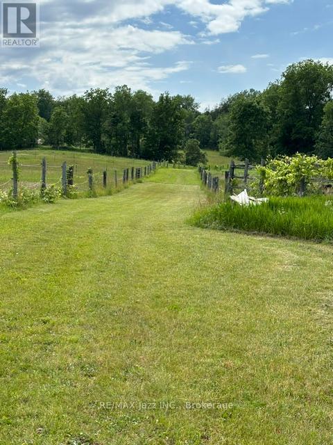 224 Christiani Road, Quinte West, Ontario  K0K 1H0 - Photo 18 - X13466614