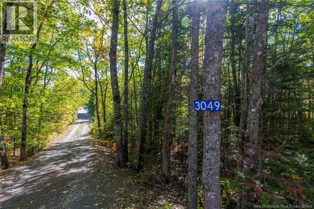 3049 Lower Cambridge Road, Cambridge-Narrows, New Brunswick  E4C 1R7 - Photo 3 - NB145294