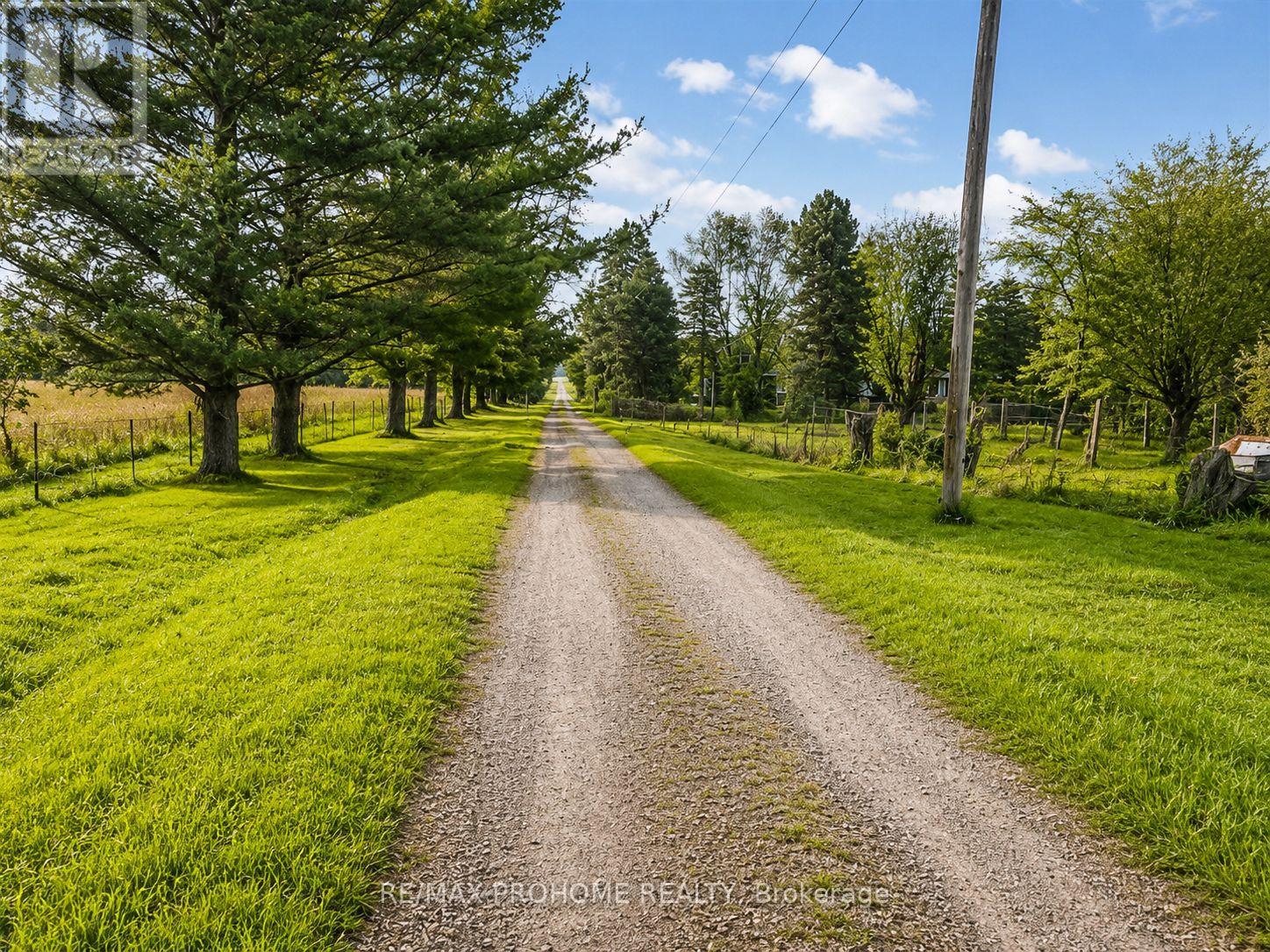 3869 7th Line, Innisfil, Ontario L9S 3M4 - Photo 4 - N13638014