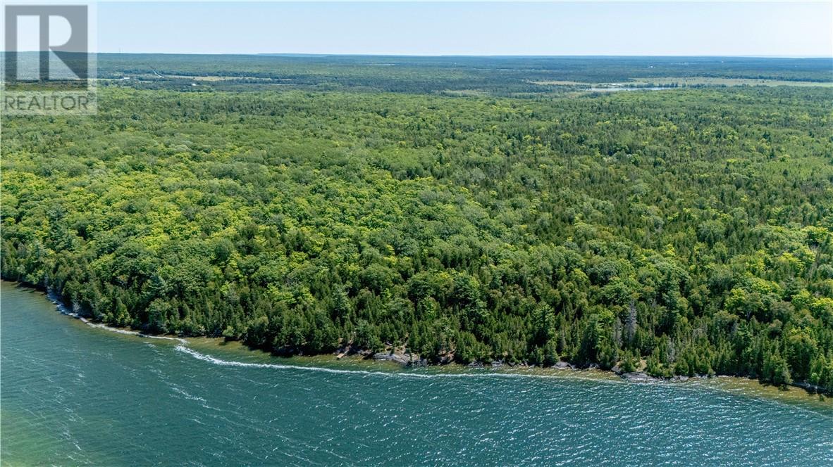 Pt Lt 19, Con 3, Windfall Lake, Tehkummah, Ontario  P0P 2C0 - Photo 4 - 2129569