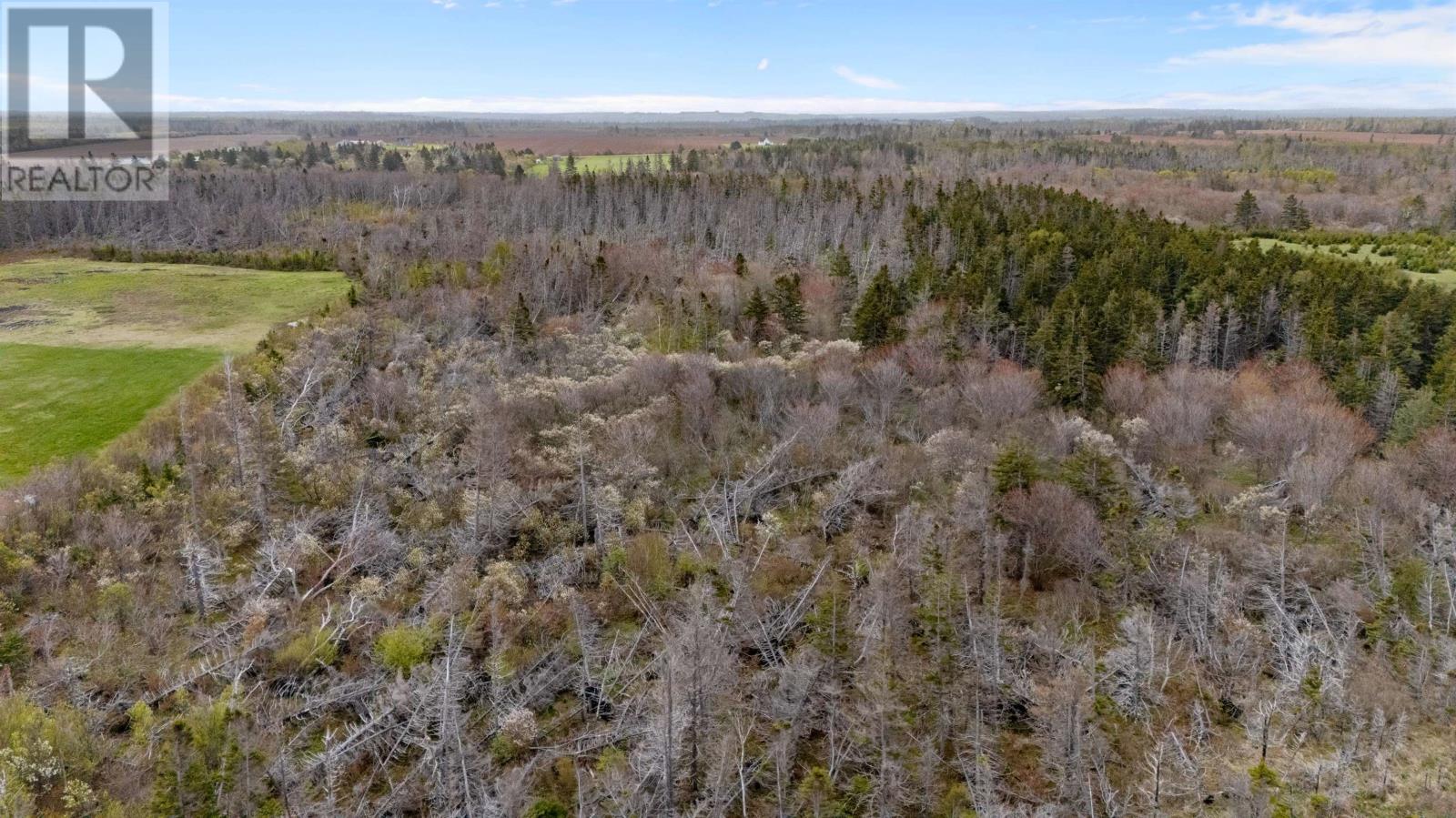 Acreage Shore Road, Cable Head West, Prince Edward Island  C0A 2A0 - Photo 12 - 202613759