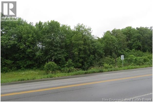 Vacant Land Woodstock/prospect Street, Fredericton, New Brunswick  E3B 5B4 - Photo 2 - NB145346