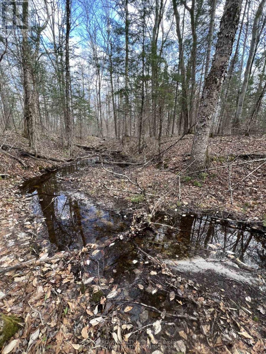 Part Lot 14 Concession 7, Mcmurrich/monteith, Ontario  P0A 1Y0 - Photo 19 - X13533944