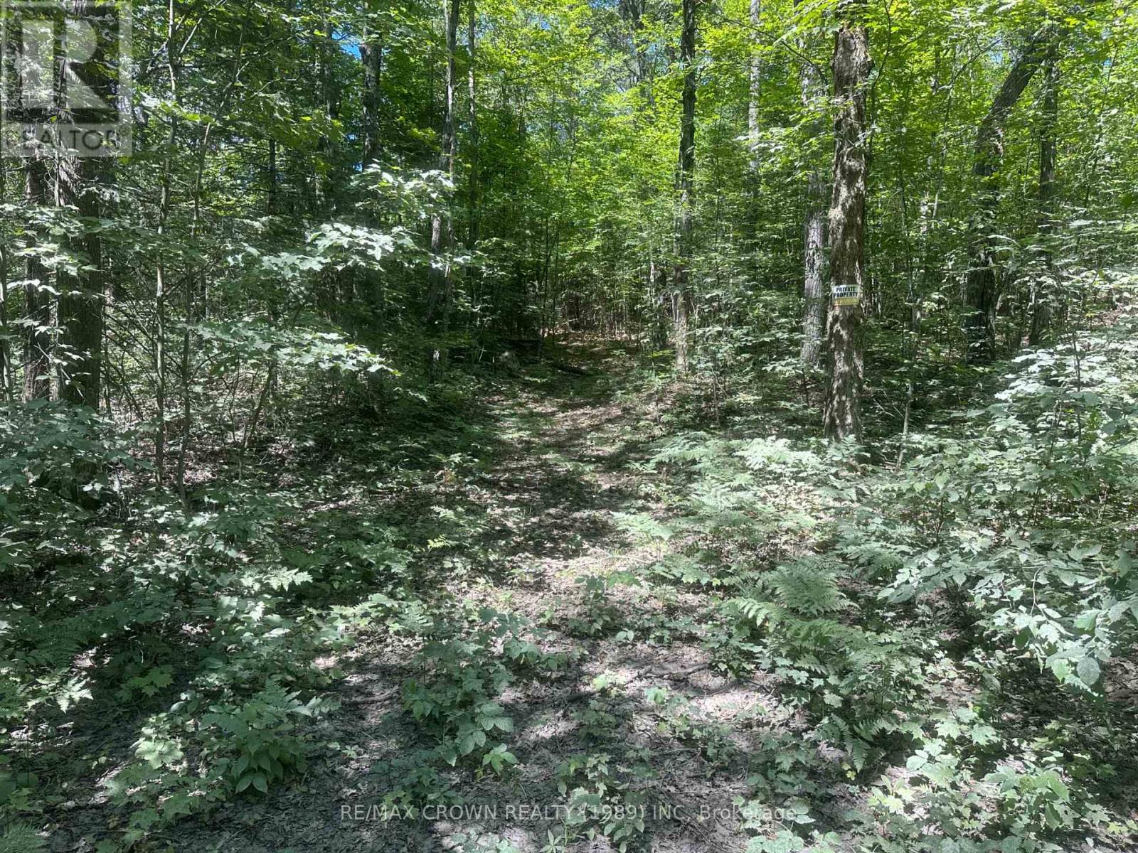 Part Lot 14 Concession 7, Mcmurrich/monteith, Ontario  P0A 1Y0 - Photo 6 - X13533944