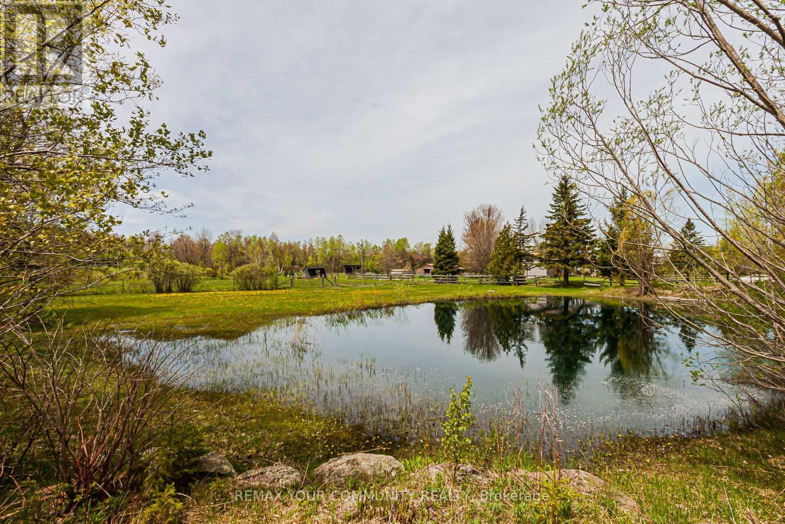 24730 Valley View Drive, Georgina, Ontario  L0E 1R0 - Photo 18 - N13638302