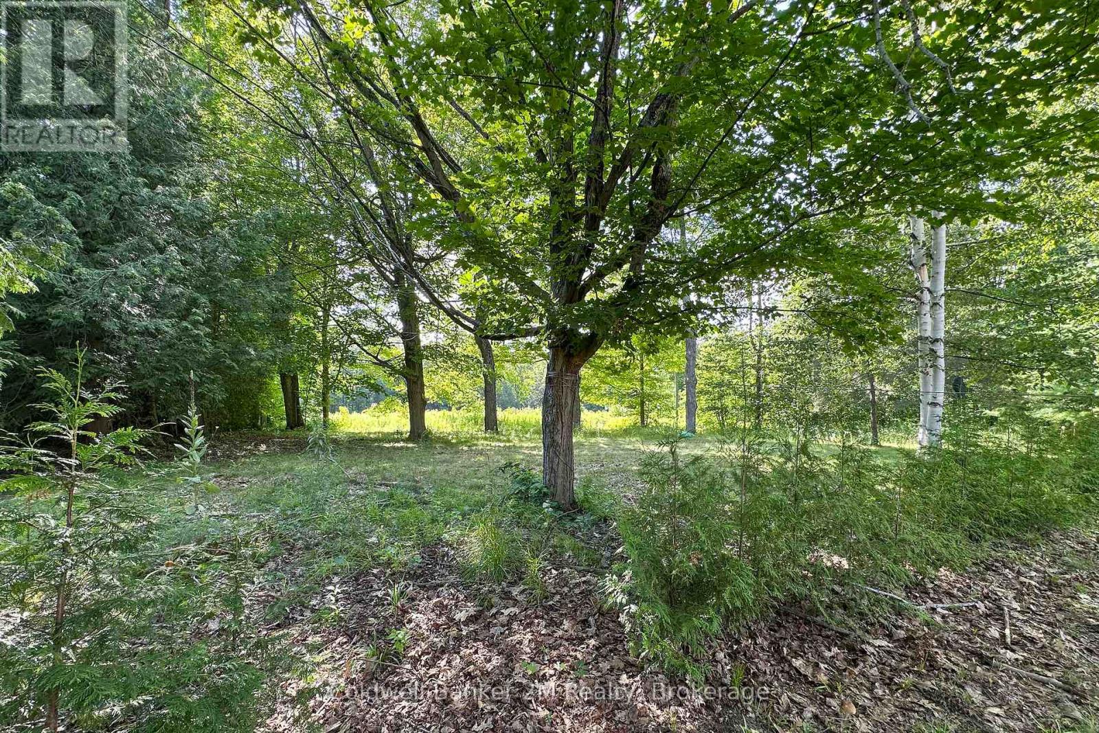 3324 Tooley Road, Clarington, Ontario  L1E 2K7 - Photo 33 - E13638396
