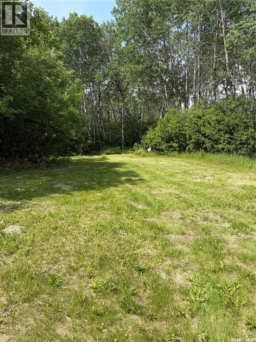 Thompson Acreage, Canwood Rm No. 494, Saskatchewan  S0J 0K0 - Photo 23 - SK044346