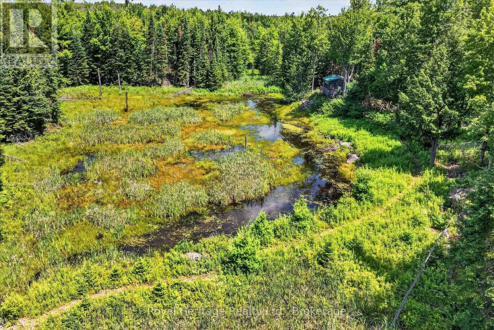 82 Kennedy Drive, Trent Lakes, Ontario  K0M 1A0 - Photo 41 - X13638616