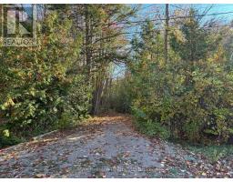 28 GEORGE STREET, bluewater (bayfield), Ontario