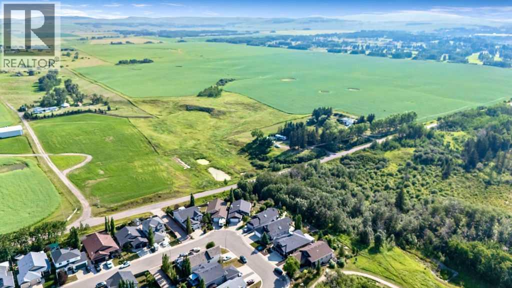 259 Willow Ridge Manor, Diamond Valley, Alberta  T0L 0H0 - Photo 41 - A2332471