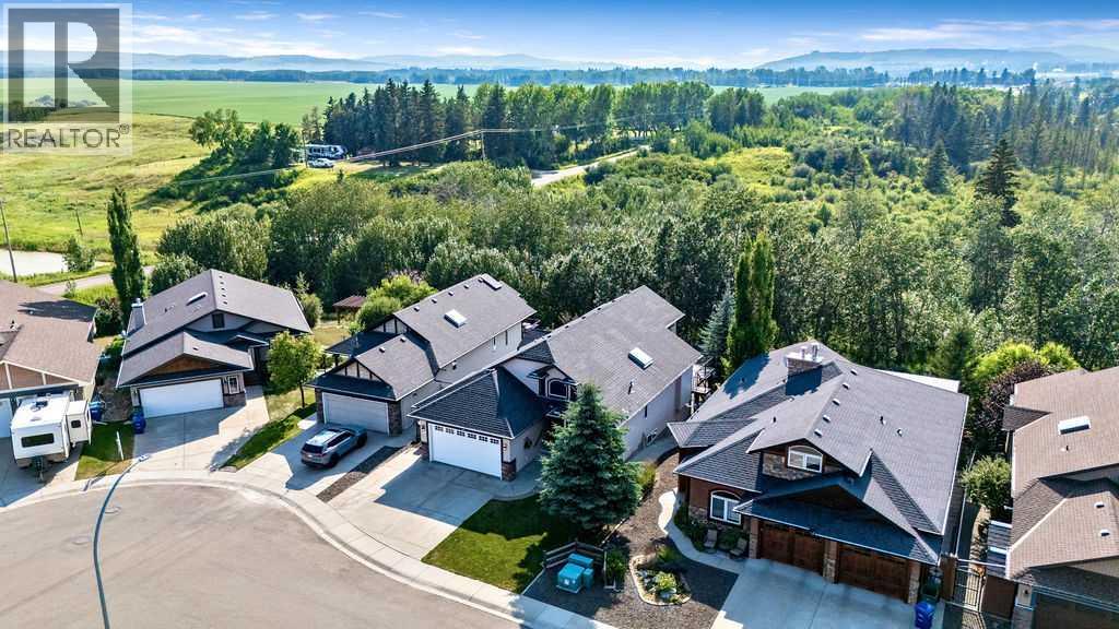 259 Willow Ridge Manor, Diamond Valley, Alberta  T0L 0H0 - Photo 39 - A2332471