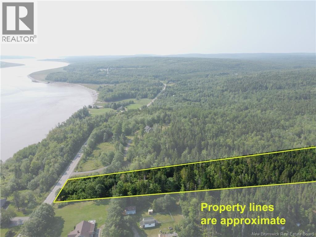 Lot Route 114, Stoney Creek, New Brunswick  E1J 1N1 - Photo 6 - NB145146